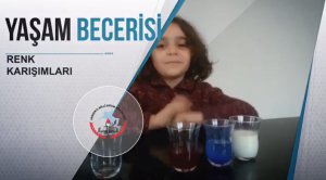 Yaşam Becerisi: Renk Karışımları